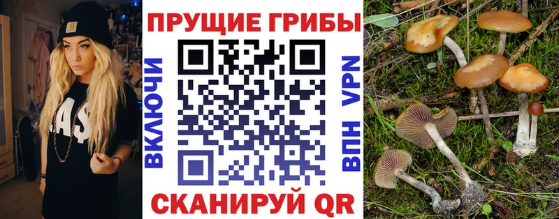 Псилоцибиновые грибы Magic Shrooms Ворсма