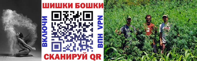 Канабис планчик  где купить   Ворсма 